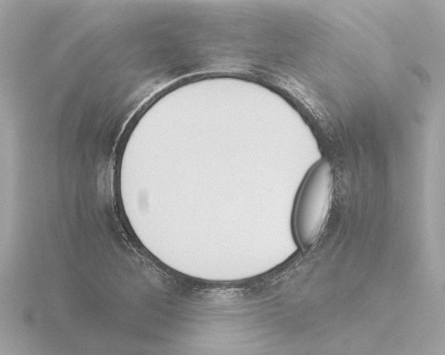 X0000115501268200912181416