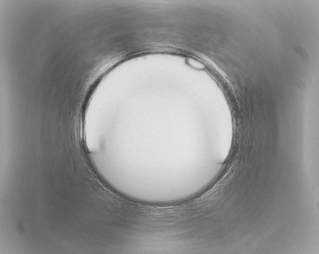 X0000115501269200912181416