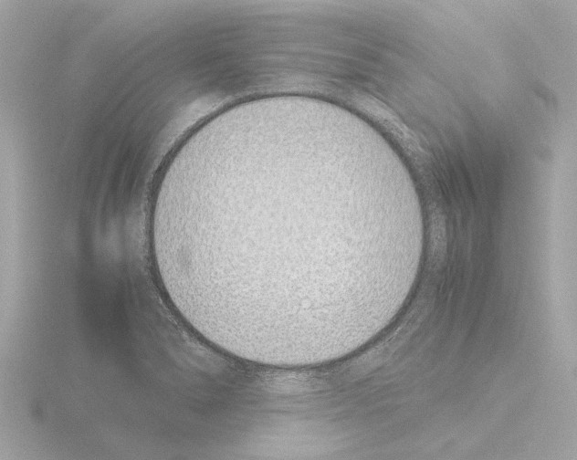 X0000115501278200912181416