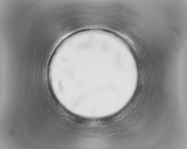 X0000115501279200912181416