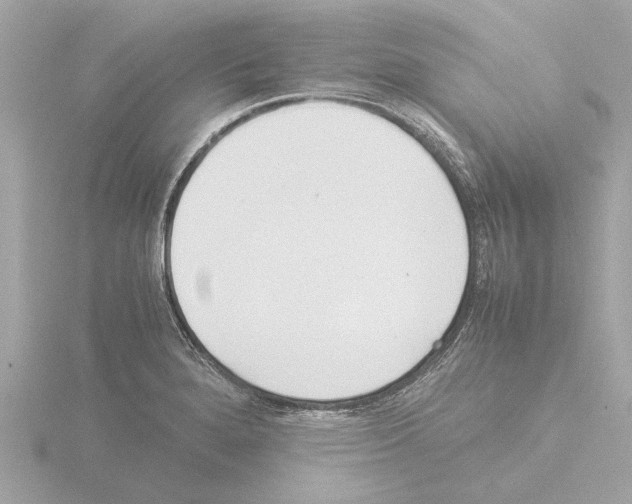 X0000115501280200912181416