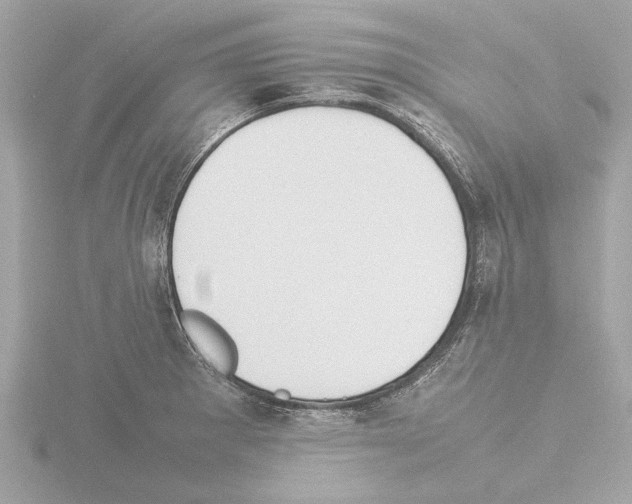 X0000115501281200912181416