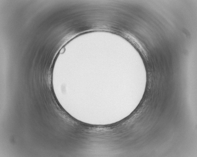 X0000115501284200912181416