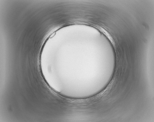 X0000115501285200912181416