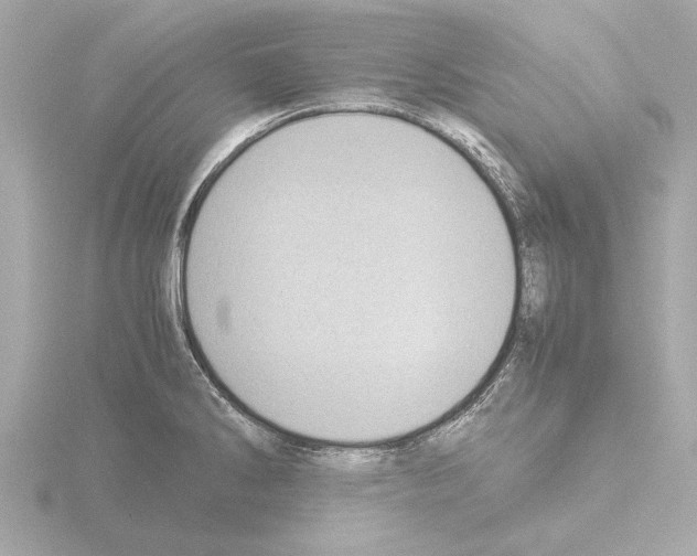X0000115501286200912181416