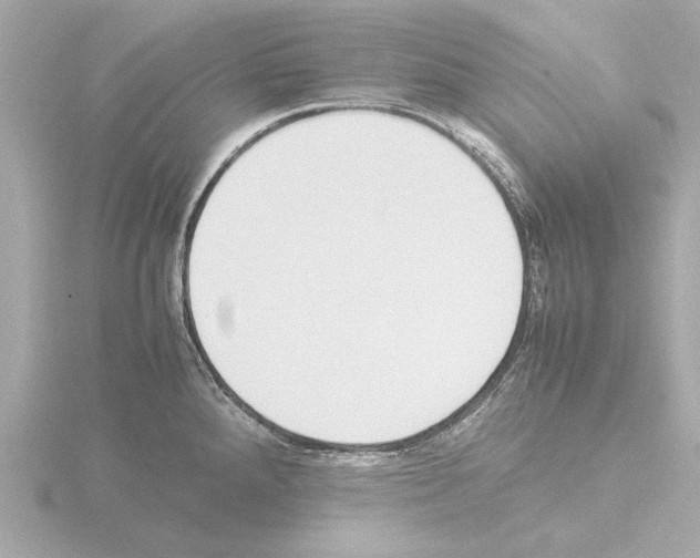 X0000115501288200912181416