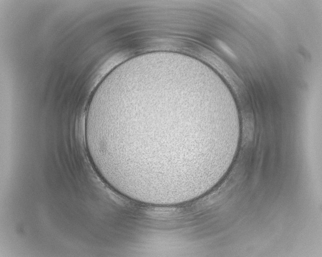 X0000115501290200912181416