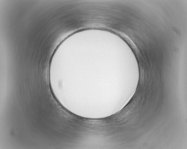 X0000115501295200912181416