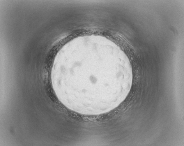X0000115501302200912181415