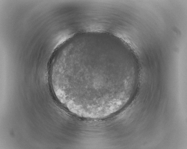 X0000115501306200912181415