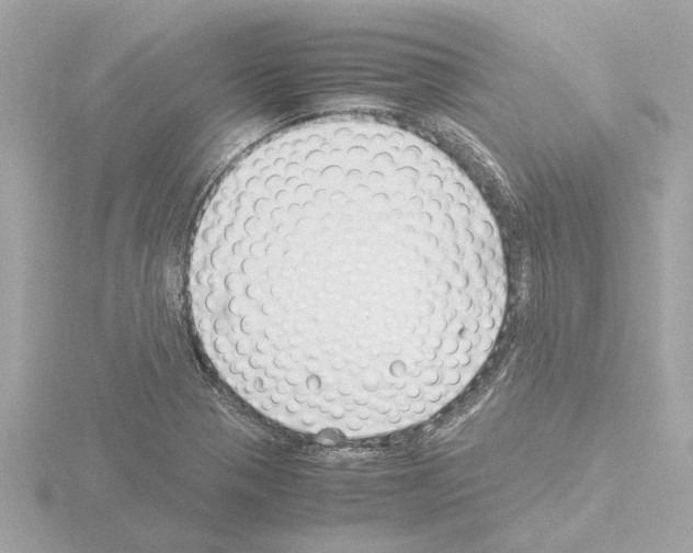 X0000115501321200912181416