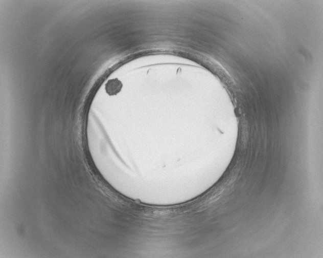 X0000115501326200912181416