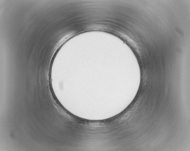 X0000115501330200912181416