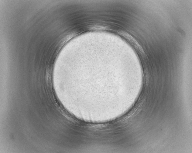 X0000115501337200912181416