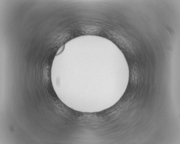 X0000115501346200912181415