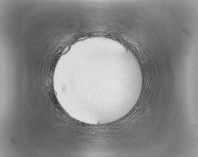 X0000115501349200912181415