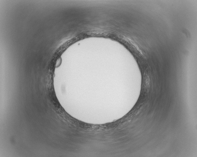 X0000115501350200912181415