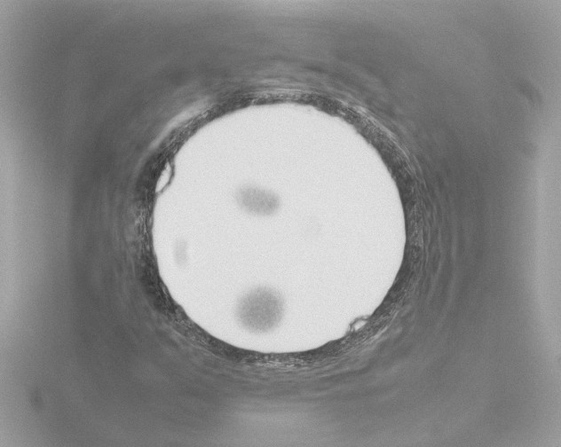 X0000115501351200912181415