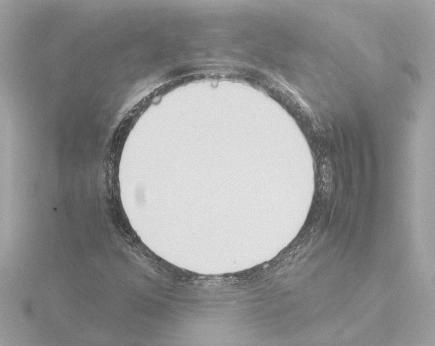X0000115501352200912181415