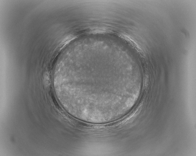 X0000115501353200912181415