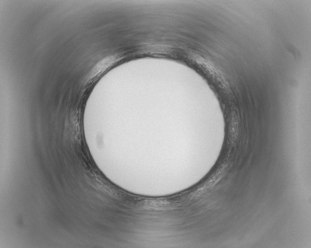 X0000115501354200912181415