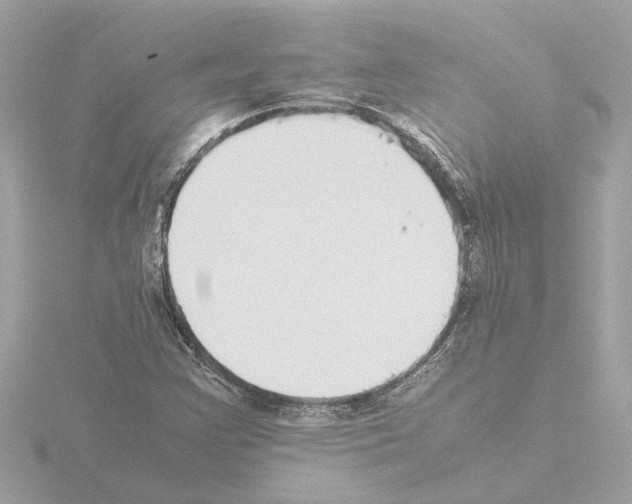 X0000115501355200912181415
