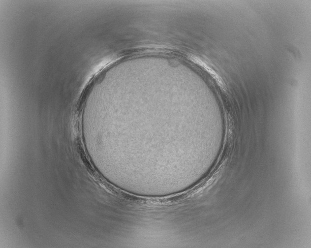 X0000115501357200912181415