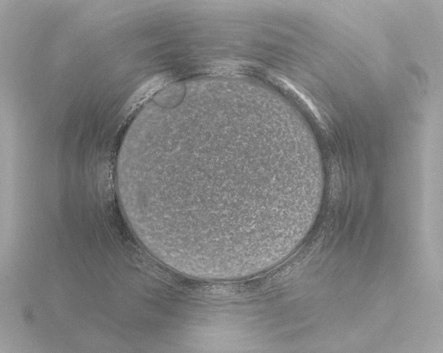 X0000115501362200912181415