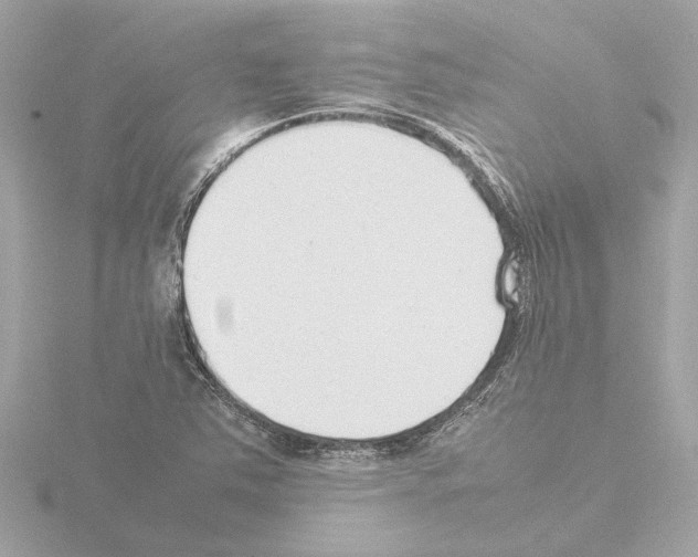 X0000115501363200912181415