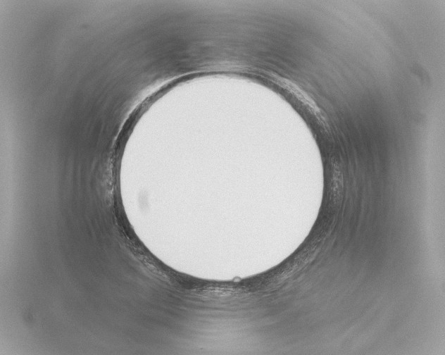 X0000115501364200912181415
