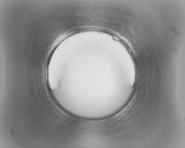 X0000115501365200912181415