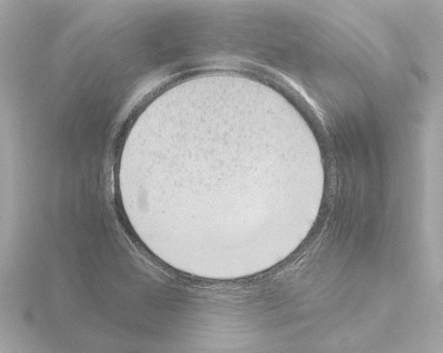 X0000115501368200912181415
