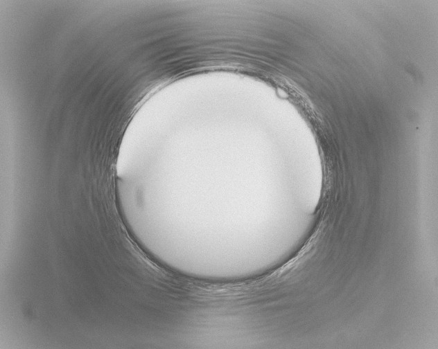 X0000115501369200912181415