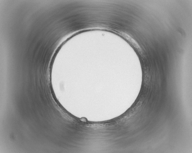 X0000115501380200912181415