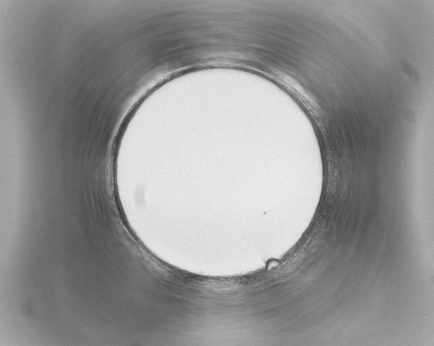 X0000115501384200912181415