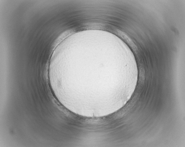 X0000115501386200912181415