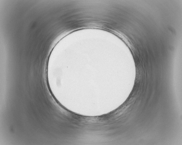 X0000115501387200912181415