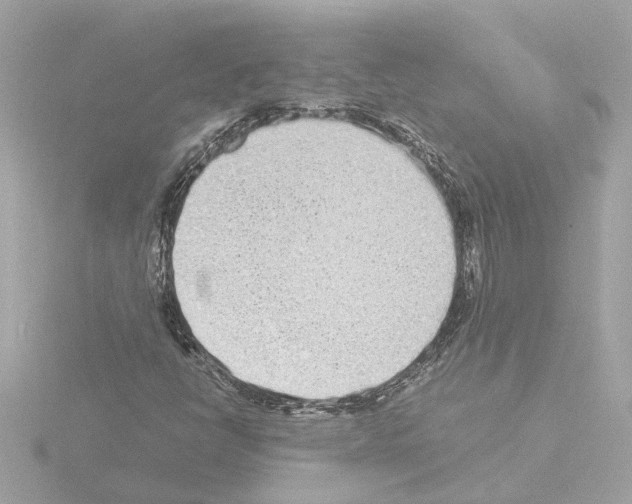 X0000115501398200912181414