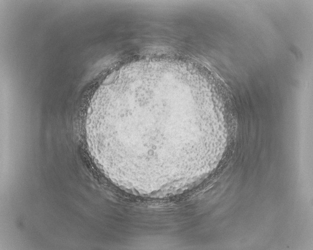 X0000115501399200912181414