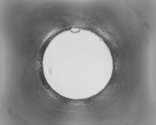 X0000115501400200912181414