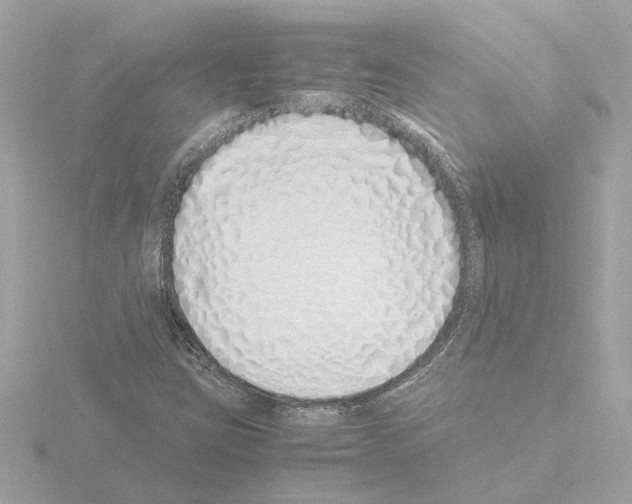 X0000115501403200912181414