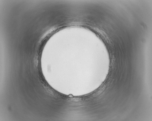 X0000115501406200912181414