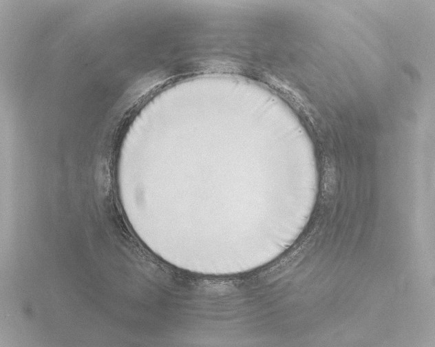 X0000115501407200912181414