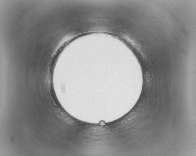 X0000115501408200912181414