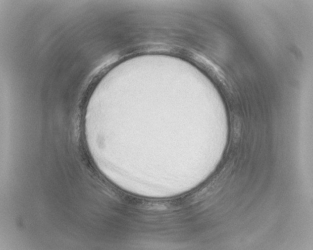 X0000115501411200912181414