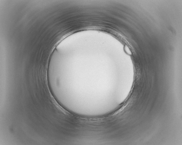 X0000115501417200912181414