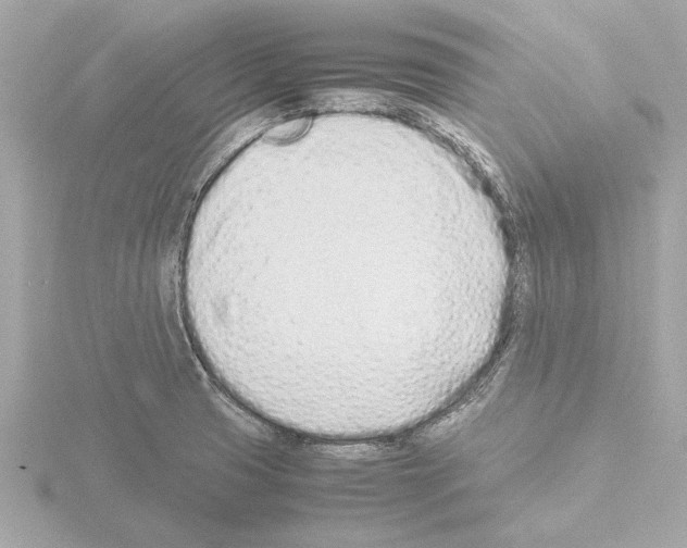 X0000115501425200912181414