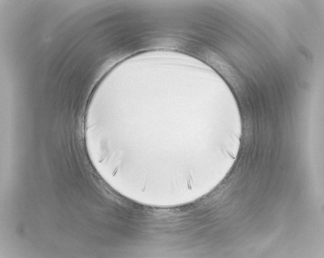 X0000115501436200912181415