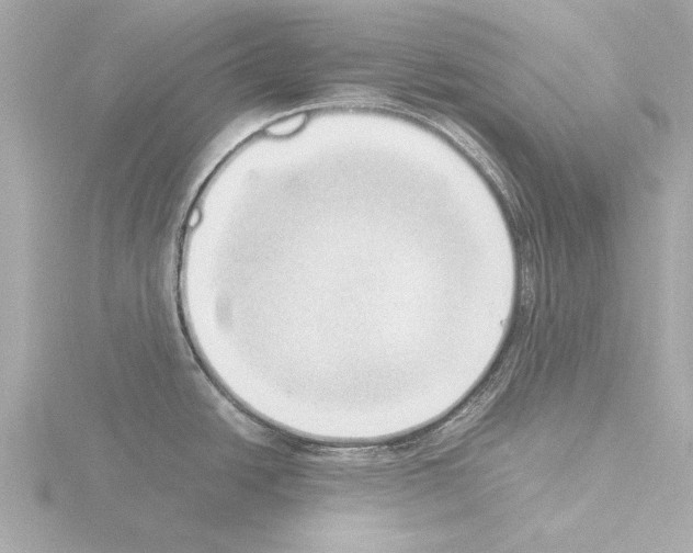 X0000115501438200912181415