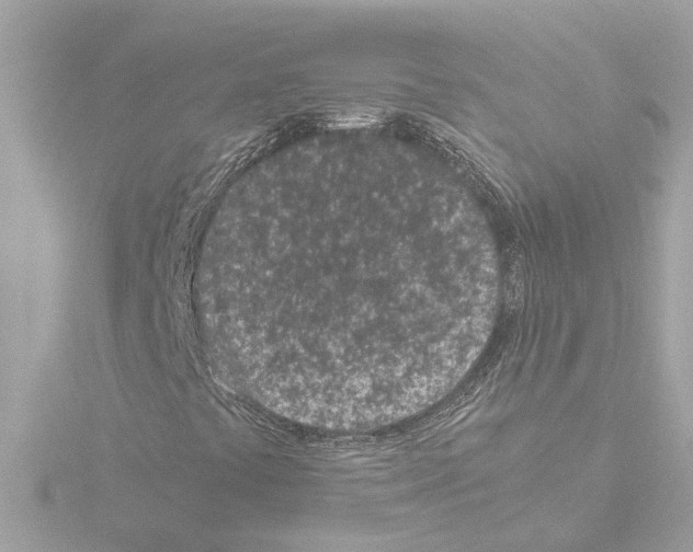 X0000115501441200912181414